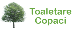 Toaletari Copaci logo